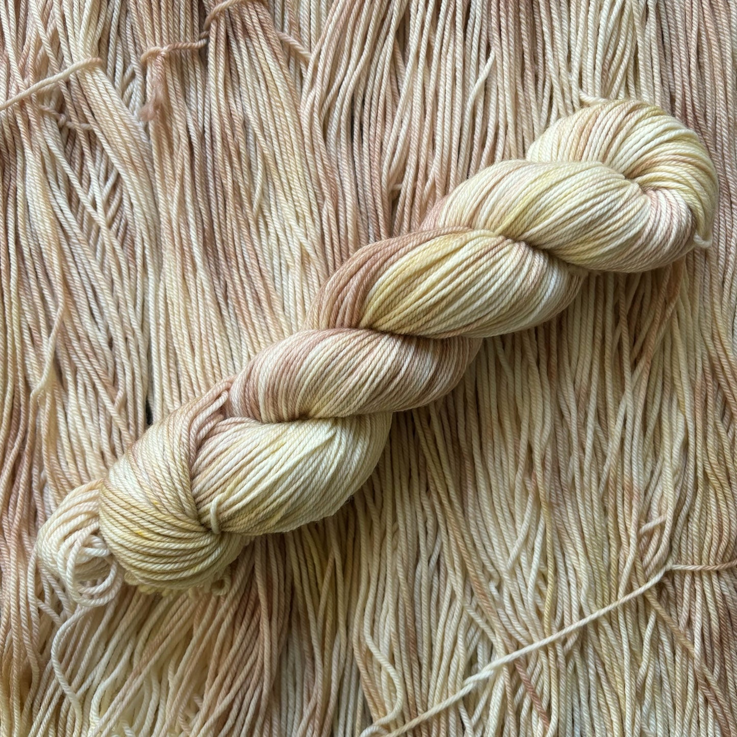 Take the Cannoli - READY TO SHIP